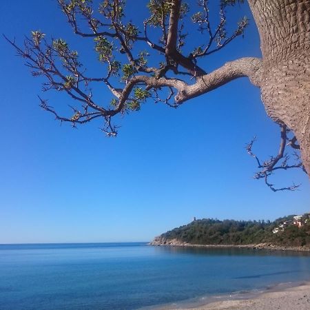 شقة أرباتاكْسْ  في Un Po Di Relax A Pochi Passi Dal Mare! المظهر الخارجي الصورة