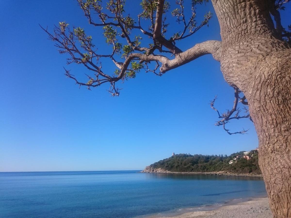 شقة أرباتاكْسْ  في Un Po Di Relax A Pochi Passi Dal Mare! المظهر الخارجي الصورة