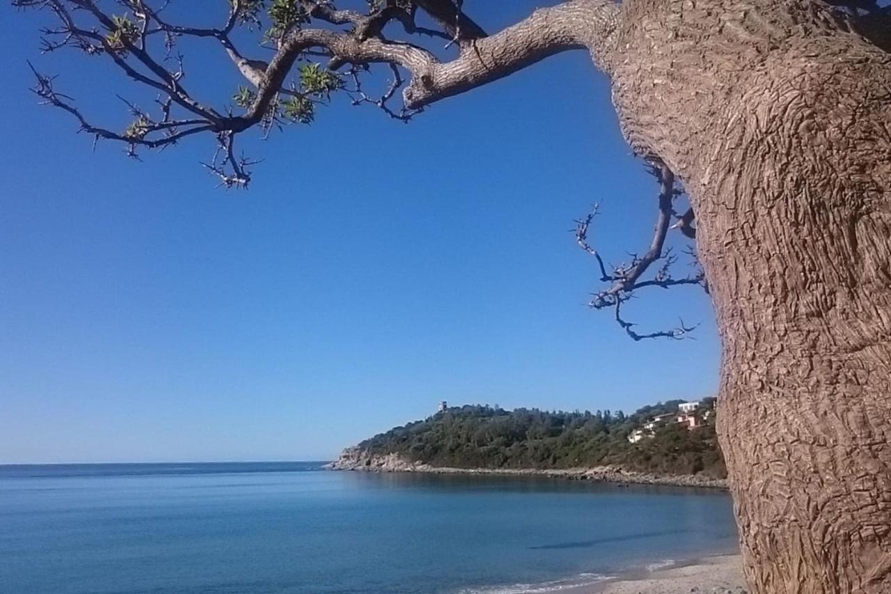شقة أرباتاكْسْ  في Un Po Di Relax A Pochi Passi Dal Mare! المظهر الخارجي الصورة